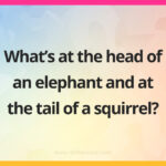 What's at the head of an elephant and at the tail of a squirrel?
