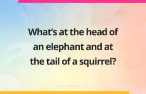What's at the head of an elephant and at the tail of a squirrel?