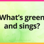 What's green and sings?