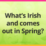 What's Irish and comes out in Spring?