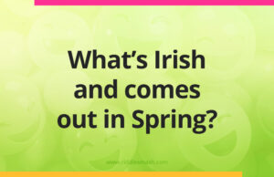 What's Irish and comes out in Spring?