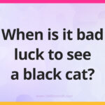When is it bad luck to see a black cat?