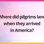 Where did pilgrims land when they arrived in America?