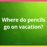 Where do pencils go on vacation?