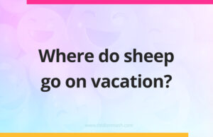 Where do sheep go on vacation?