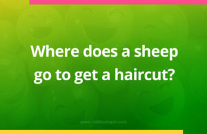 Where does a sheep go to get a haircut?