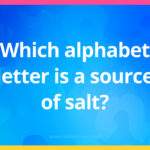 Which alphabet letter is a source of salt?