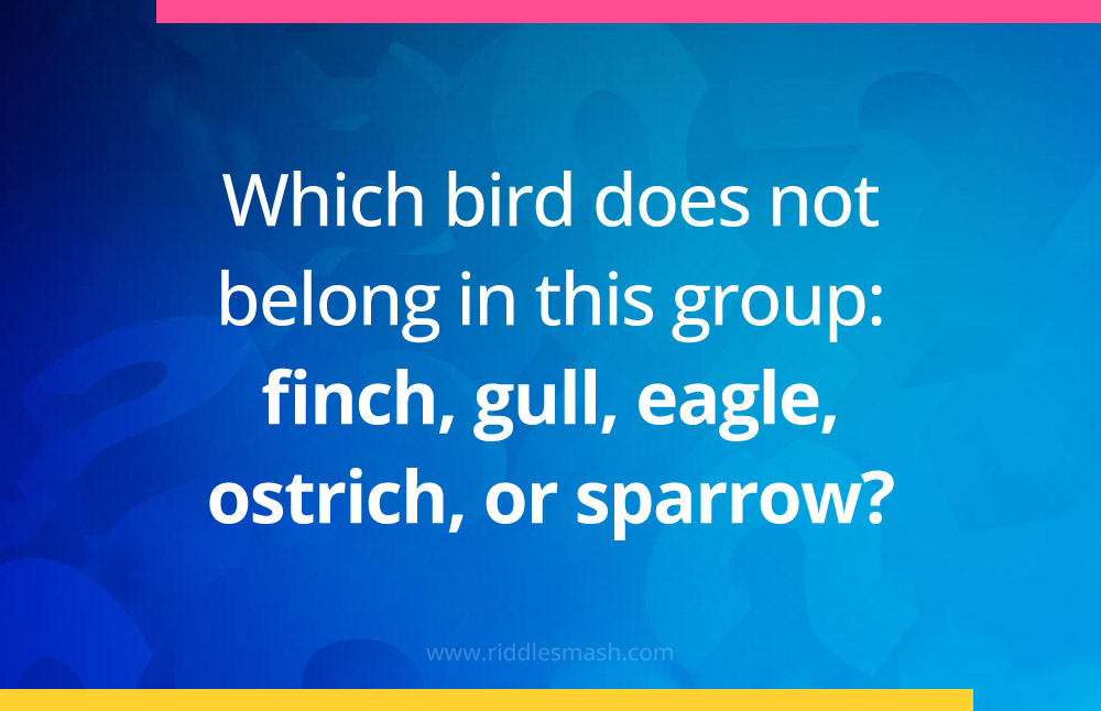 Which bird does not belong in this group: finch, gull, eagle, ostrich, or sparrow?