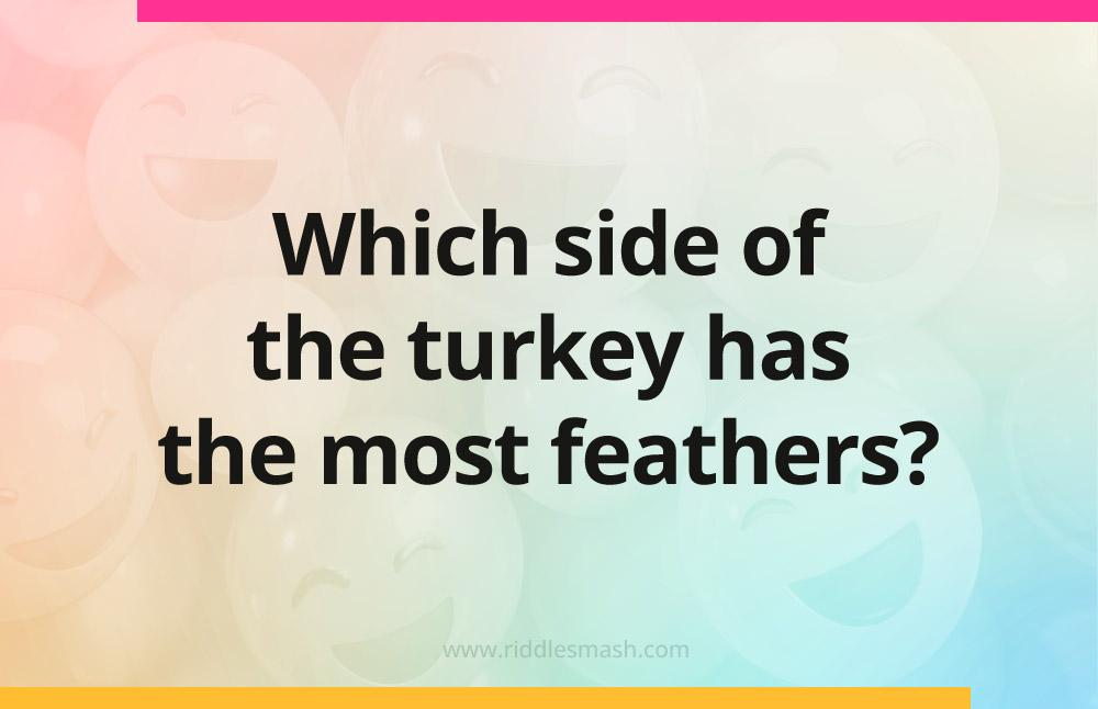 Which side of the turkey has the most feathers?