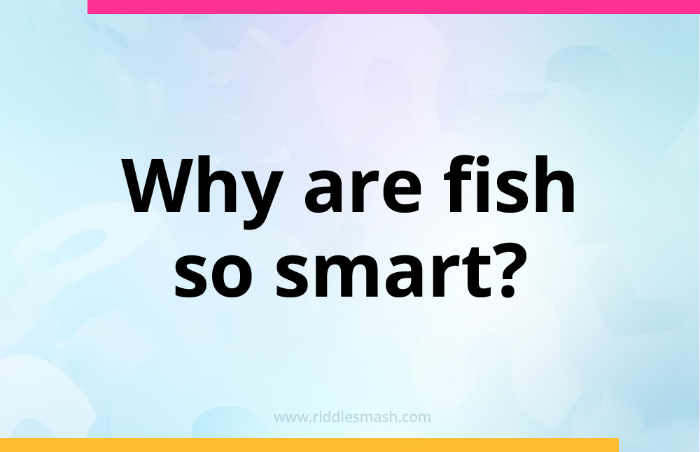 Why are fish so smart?