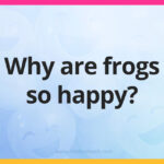 Why are frogs so happy?