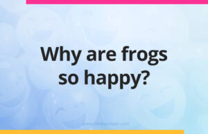 Why are frogs so happy?