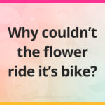Why couldn't the flower ride it's bike?