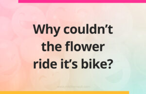 Why couldn't the flower ride it's bike?