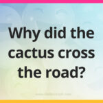 Why did the cactus cross the road?