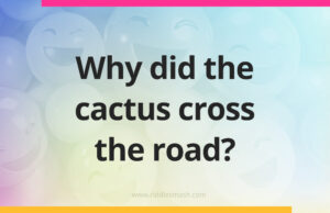 Why did the cactus cross the road?