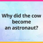 Why did the cow become an astronaut?