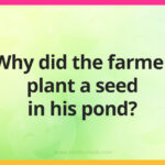 Why did the farmer plant a seed in his pond?