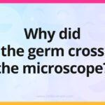 Why did the germ cross the microscope?