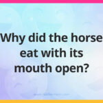 Why did the horse eat with its mouth open?