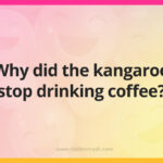 Why did the kangaroo stop drinking coffee?