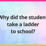 Why did the student take a ladder to school?