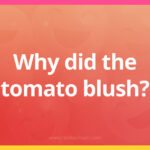 Why did the tomato blush?