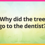 Why did the tree go to the dentist?