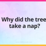 Why did the tree take a nap?