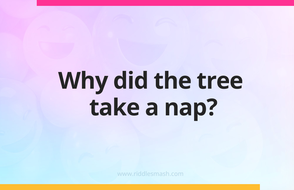 Why did the tree take a nap?