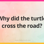 Why did the turtle cross the road?