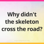 Why didn't the skeleton cross the road?