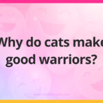 Why do cats make good warriors?