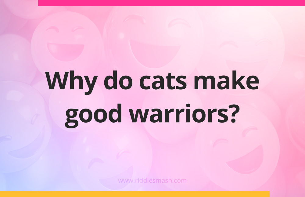 Why do cats make good warriors?