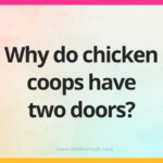 Why do chicken coops only have two doors?