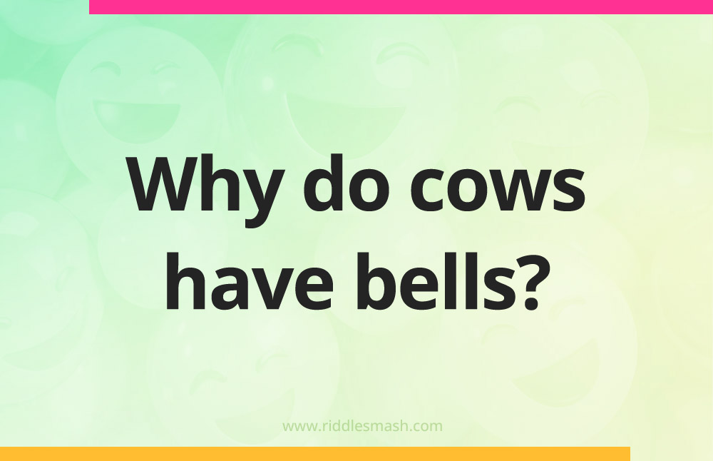 Why do cows have bells?