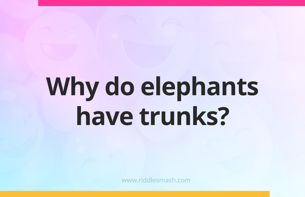 Why do elephants have trunks?
