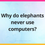 Why do elephants never use computers?