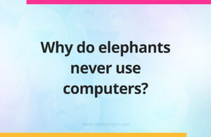 Why do elephants never use computers?
