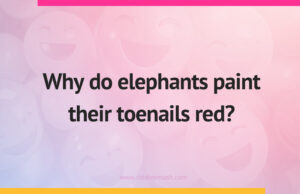 Why do elephants paint their toenails red?