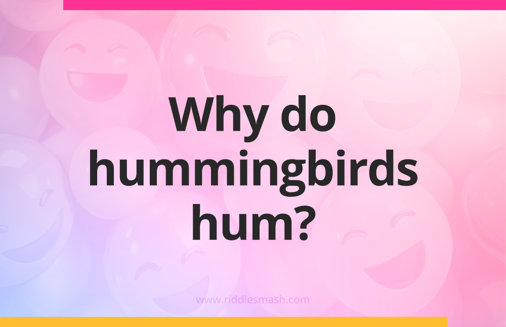 Why do hummingbirds hum?