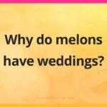 Why do melons have weddings?