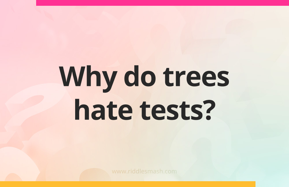 Why do trees hate tests?