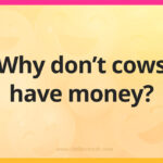 Why don’t cows have money?