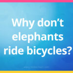Why don't elephants ride bicycles?