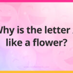 Why is the letter A like a flower?