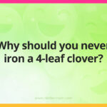Why should you never iron a 4-leaf clover?