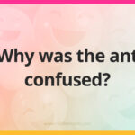 Why was the ant confused?