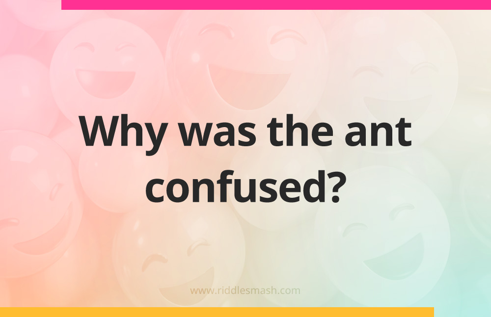 Why was the ant confused?