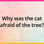 Why was the cat afraid of the tree?